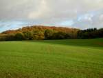 herbst10.jpg
